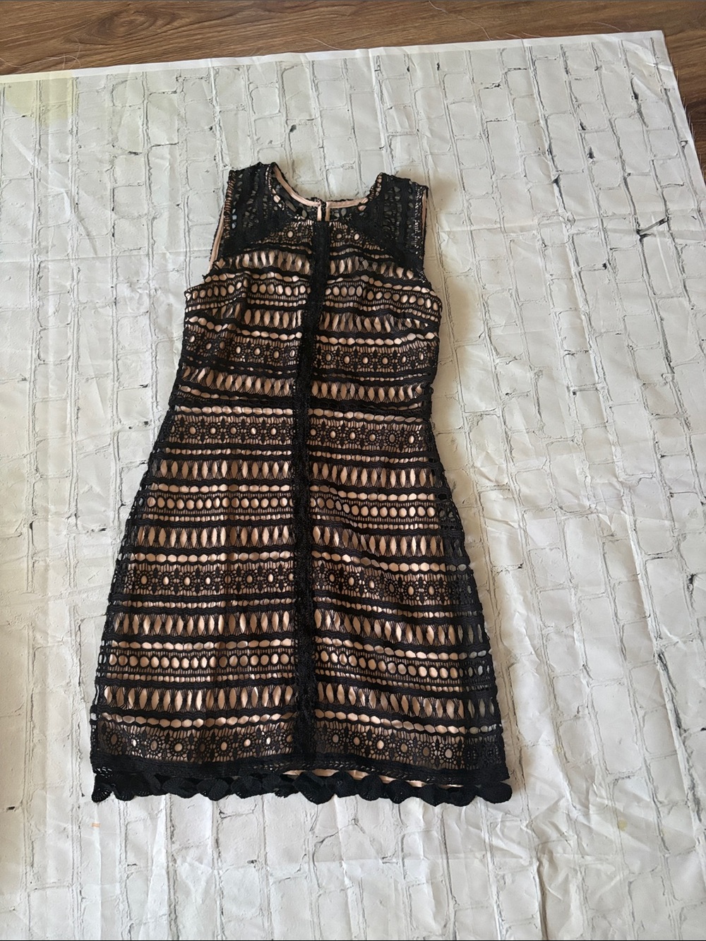 Francesca's Collections Black Lace Mini Dress with Nude Lining